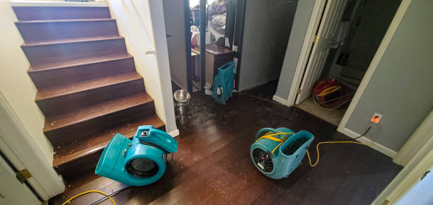 Best Water damage contractors near me  in Eastern Goleta Valley, CA