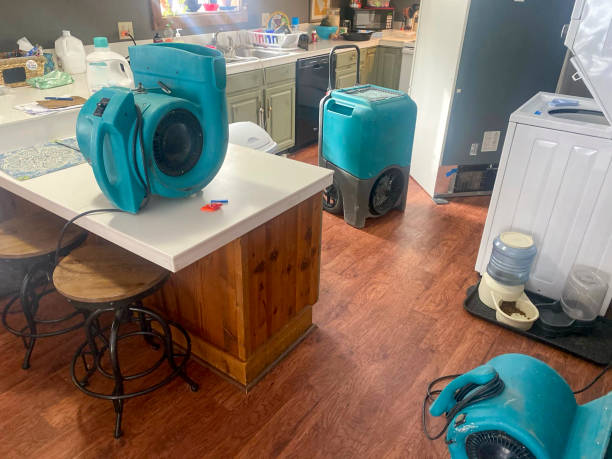 Best Water damage cleanup near me  in Eastern Goleta Valley, CA