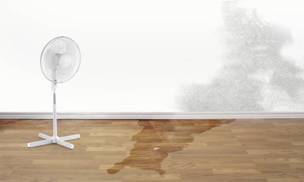 Best Flood damage cleanup  in Eastern Goleta Valley, CA