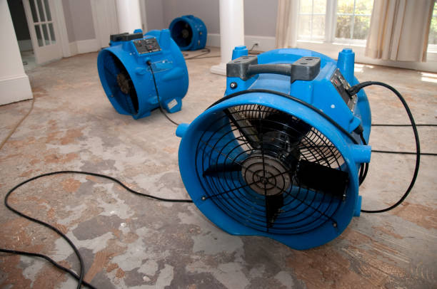  Eastern Goleta Valley, CA Water damage restoration Pros