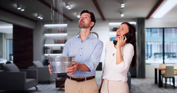 Best Mold removal after water damage  in Eastern Goleta Valley, CA