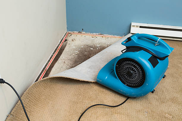 Best Flood restoration services  in Eastern Goleta Valley, CA